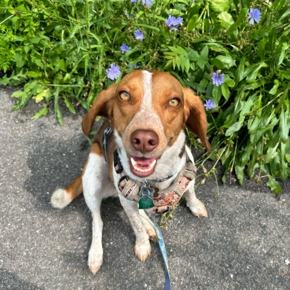 Meet your Posher, Ashley - Picture 4 of 9